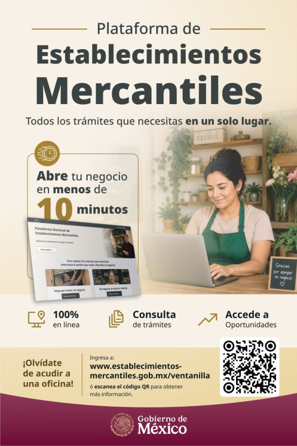 Plataforma E.Mercantiles